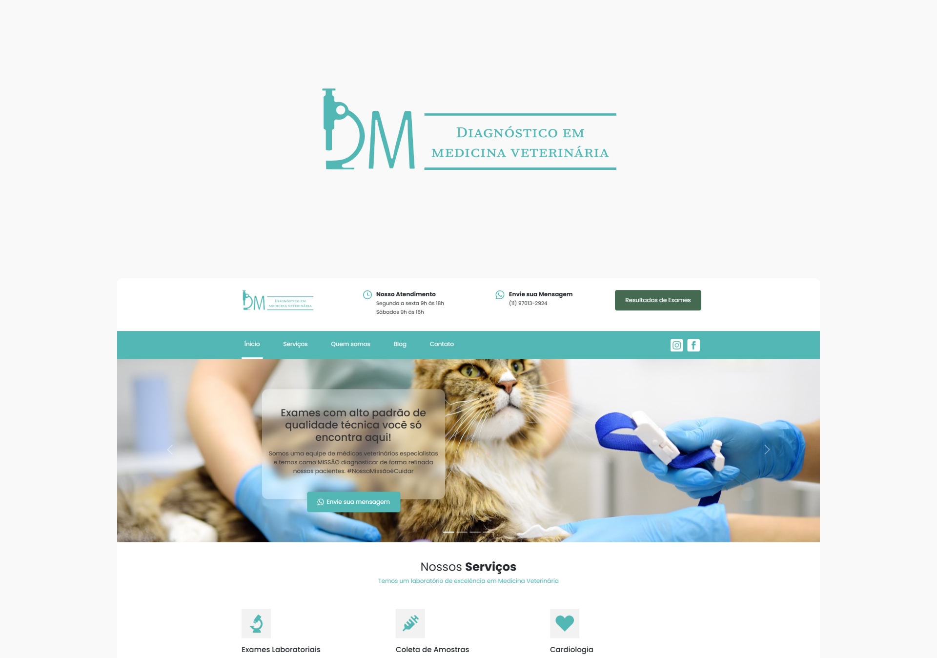 DM Vet - Diagnóstico em Medicina Veterinária - JNeris | Designer, Front-end Developer